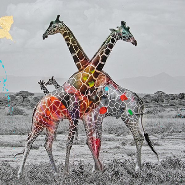 ARNO ELIAS SUPPORTS WILDLIFE CONVERSATION WITH HIS NEW EXHIBITION