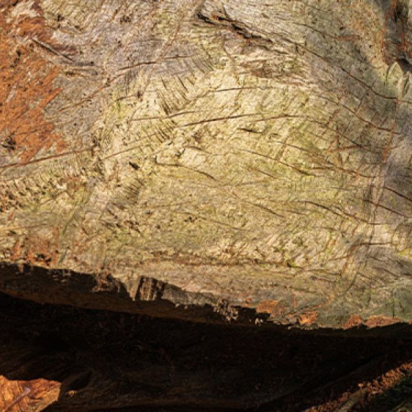 Galerie Cécile Fakhoury ABIDJAN EXPOSE "VESTIGES DE LA MÉ" DE L