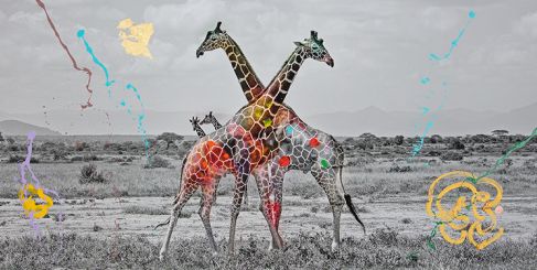 YELLOWKORNER EXHIBITS 